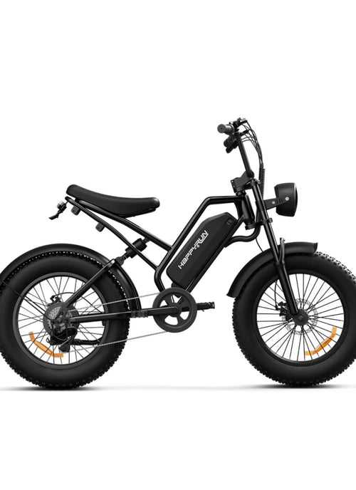 HappyRun G50 750W Electric Bike